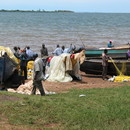 Fishermen repairing nets, Lake Victoria