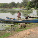 Fishermen at landing site, Volta river, Ghana (by courtesy of Arne Homann)